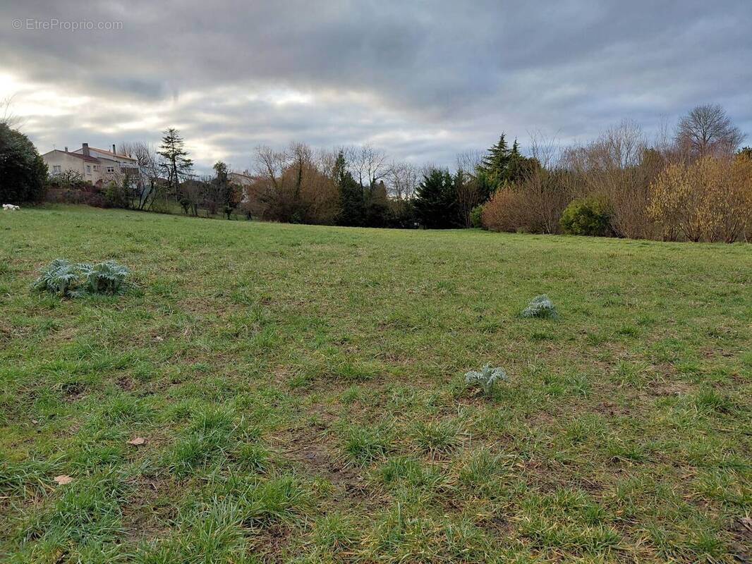 Terrain à SAINTES