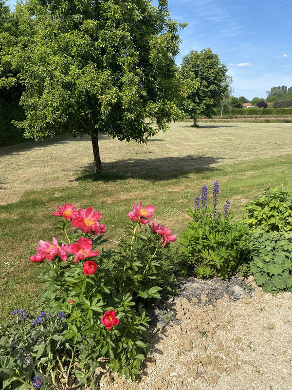 Maison à GIFFAUMONT-CHAMPAUBERT