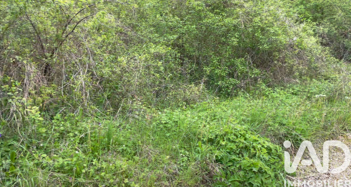 Photo 3 - Terrain à TONNERRE