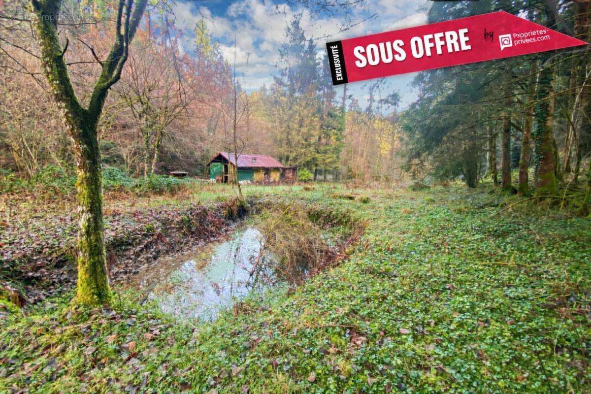 Terrain à WILLER-SUR-THUR