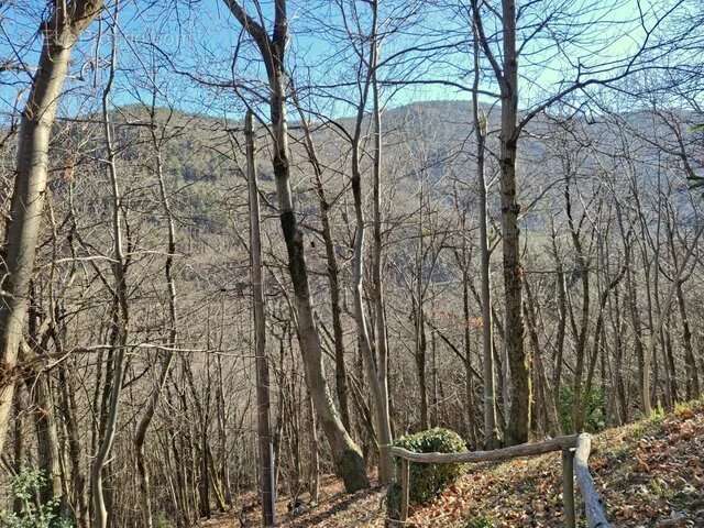 Maison à POURCHARESSES