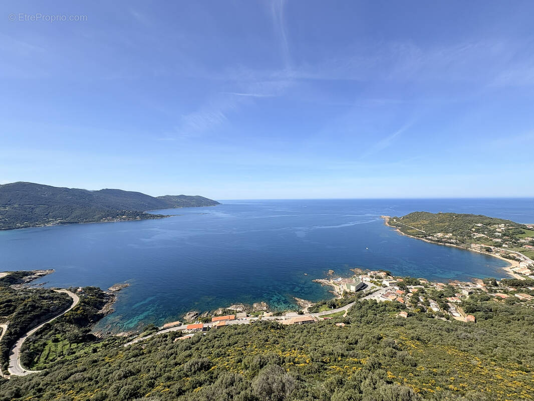 Terrain à CALCATOGGIO