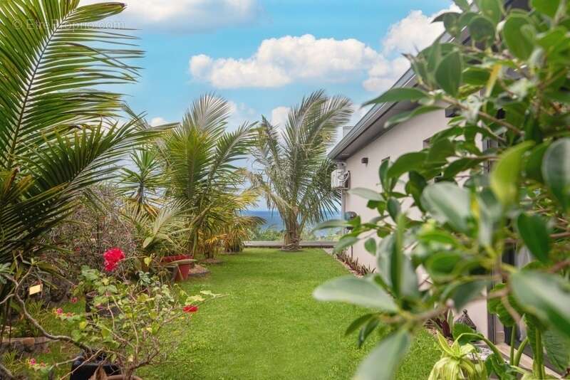 Maison à SAINT-JOSEPH