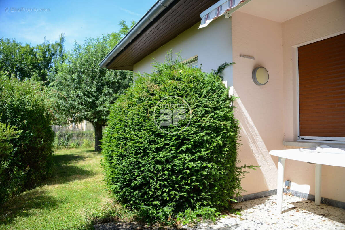 Maison 101 m² à Hegenheim  - photo 8