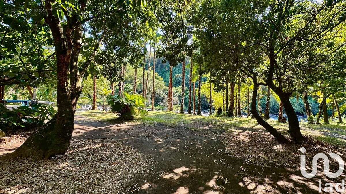 Photo 3 - Maison à SAINT-BENOIT