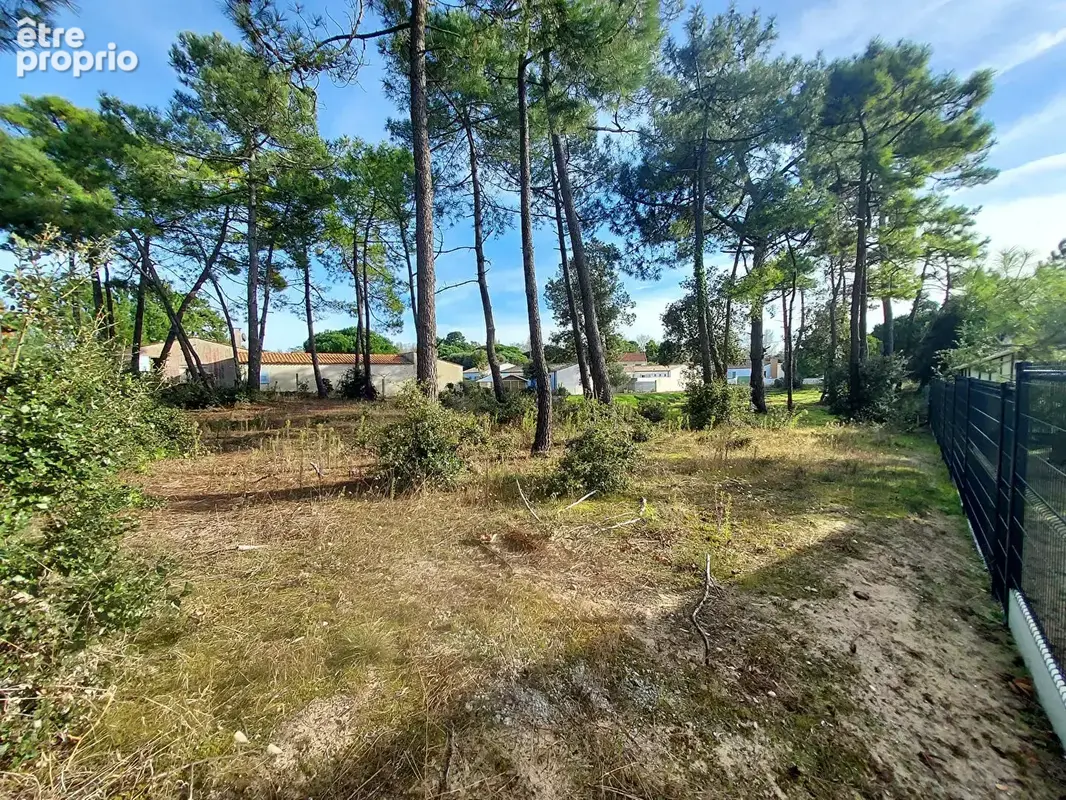 Proche plage -Terrain 452 m2 avec PC - photo 2