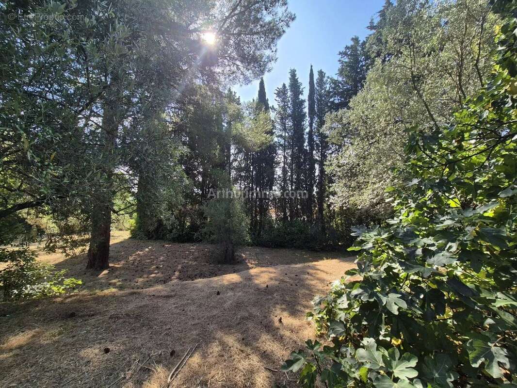 Vente Terrain Draguignan(83300) 145 000ï¿œ - photo 2