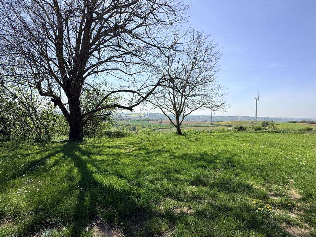 Maison à AVIGNONET-LAURAGAIS