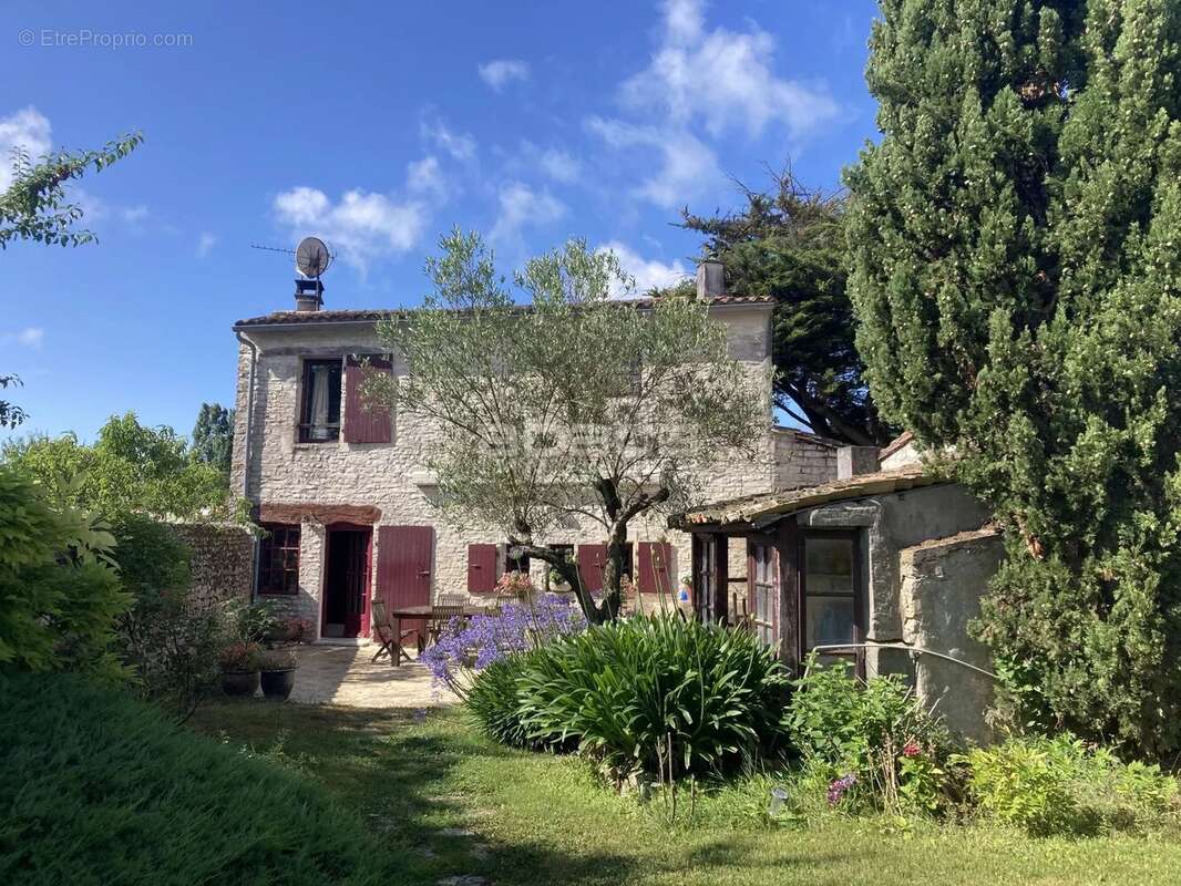 Ensemble immobilier - LE BOIS PLAGE EN RE - Ile de Ré - photo 6