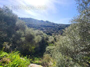 Terrain à SARTENE