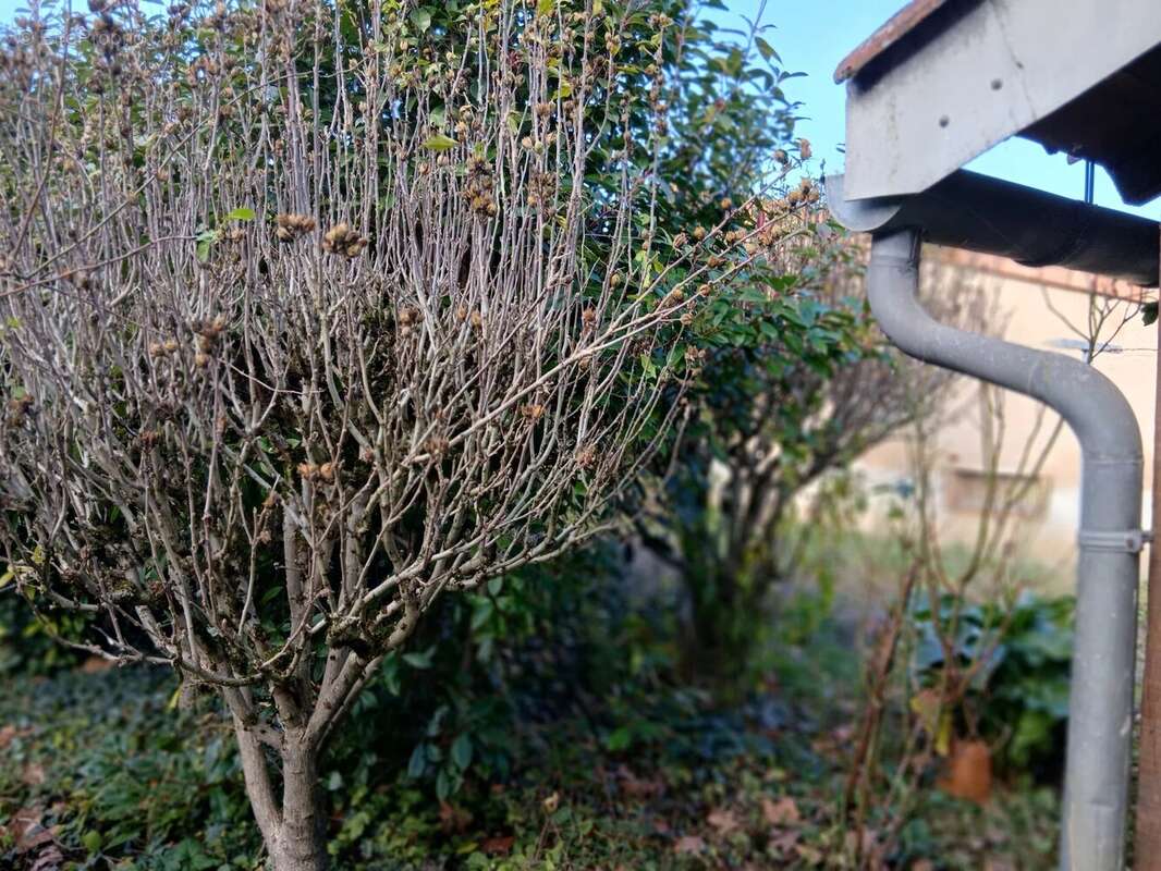 Maison à MONTANS