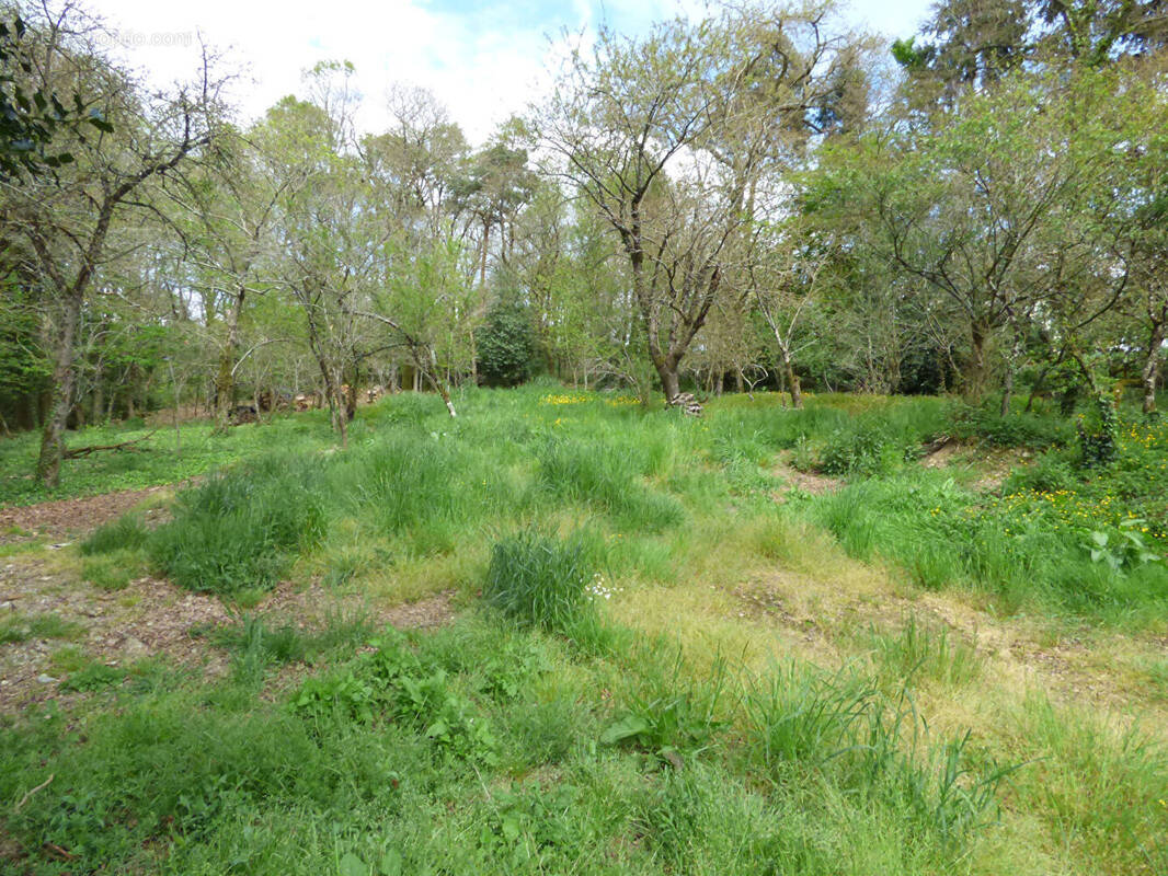 Terrain à LOYAT