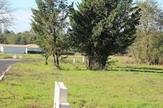 Terrain à BELIN-BELIET