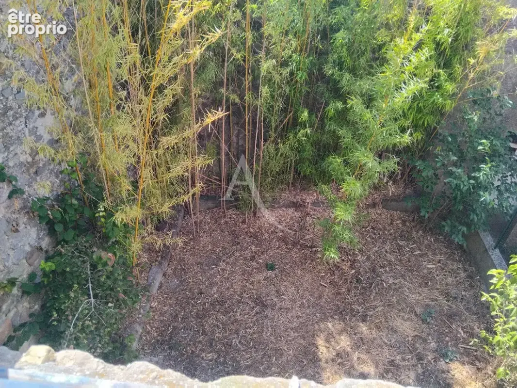 Ensemble immobilier Montlaur 7 pièce(s) 124 m² avec jardin - photo 4