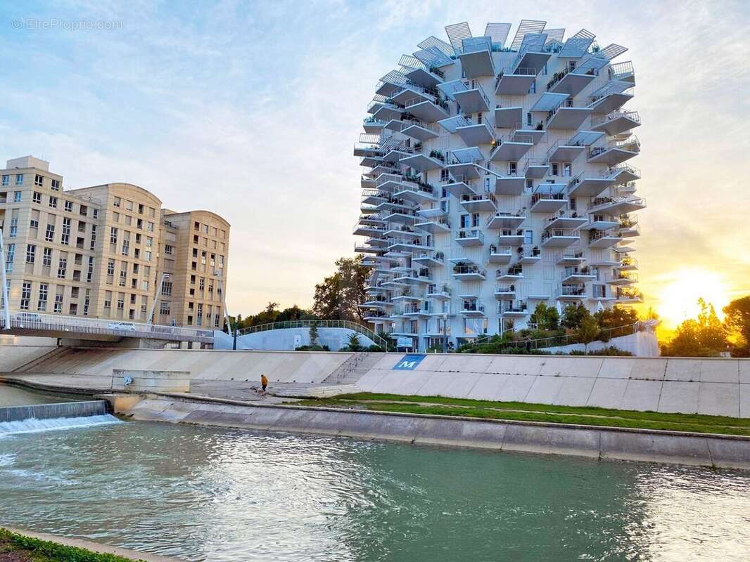 Appartement à MONTPELLIER