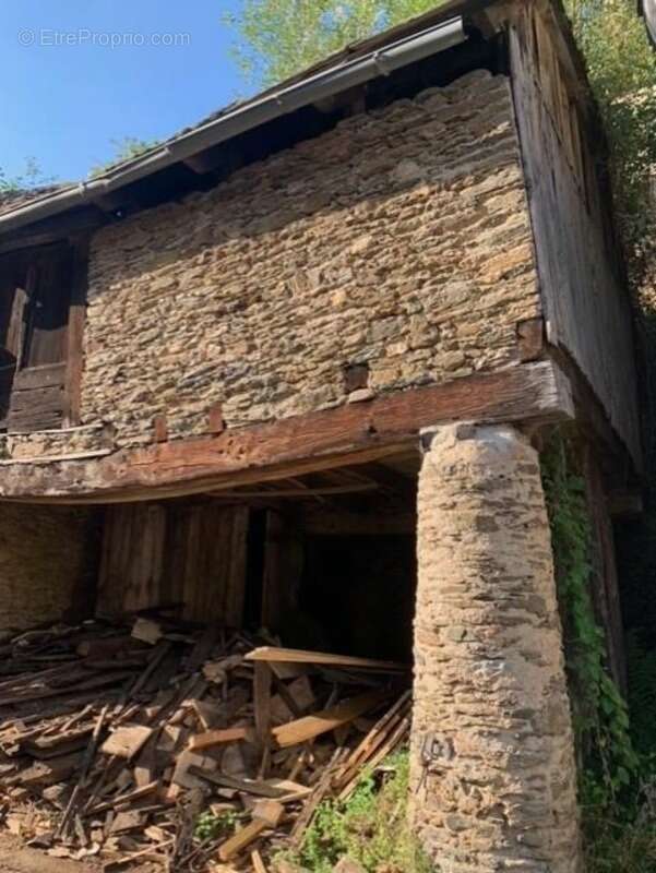 Maison à VIEILLEVIE