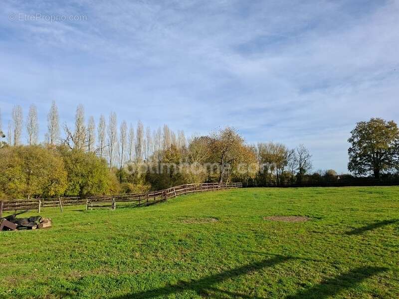 Maison à RUILLE-FROID-FONDS
