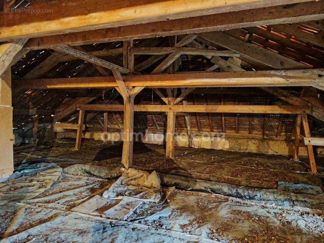  Maison de Maître aux portes d'Aire-sur-l'Adour - photo 44