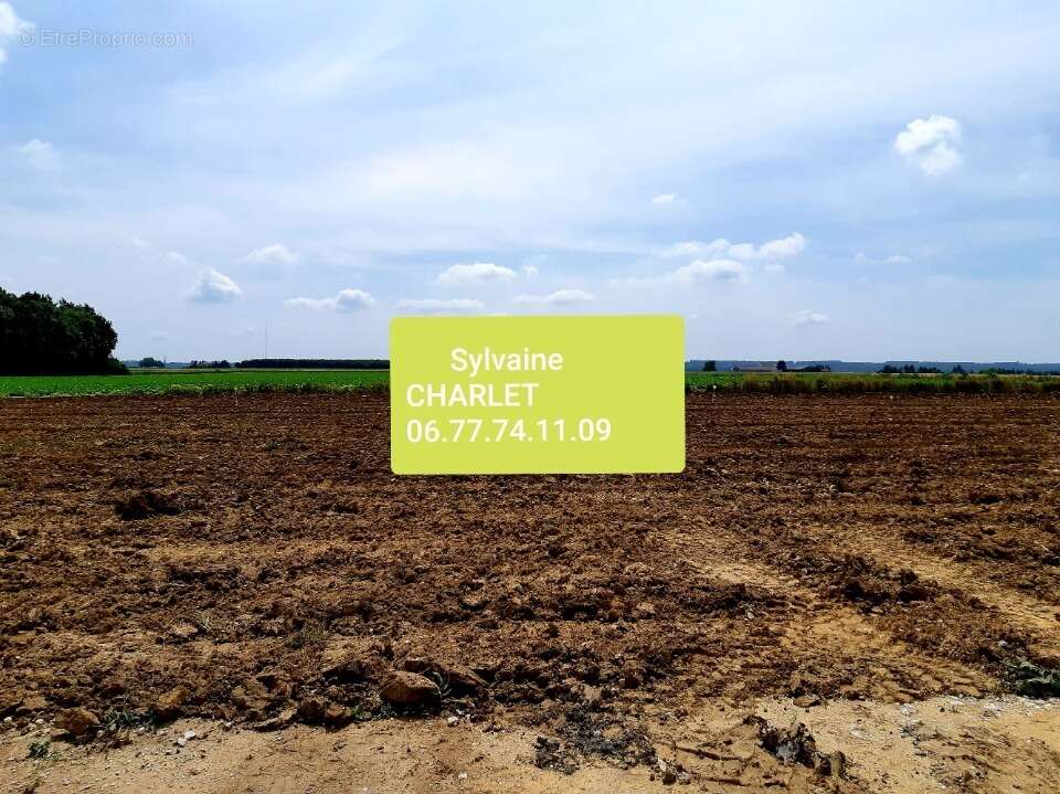 Terrain à NOEUX-LES-MINES