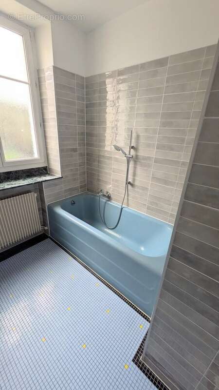 Appartement F3 à Mulhouse Dornach - photo 4