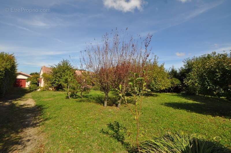 Maison à SAINT-SORLIN-EN-VALLOIRE