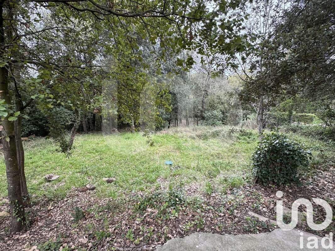 Photo 6 - Maison à MONTEILS