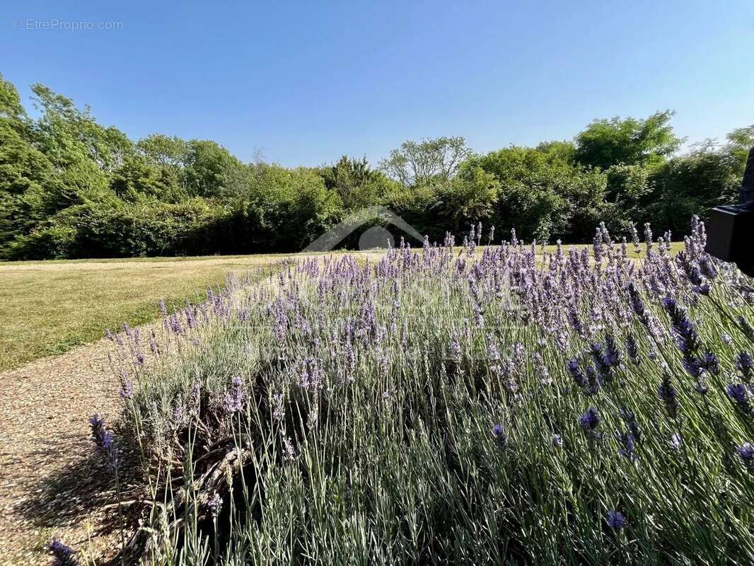 Appartement à DEAUVILLE