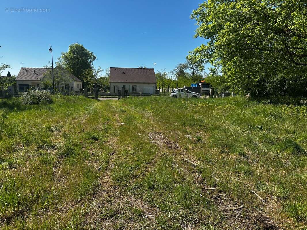 Terrain à ARBONNE-LA-FORET