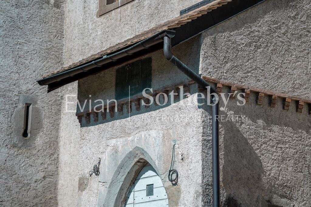 Château aux portes de genève - photo 10