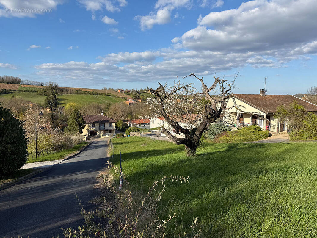 Terrain à POUILLY-LE-MONIAL