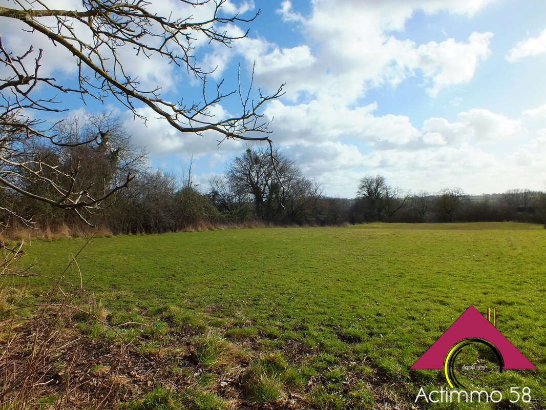 Terrain à OUROUER-LES-BOURDELINS