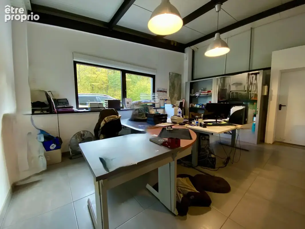 Local commercial de 650 m² sur 54 ares  RT2012  Prestations de qualité  Sarreguemines - photo 5