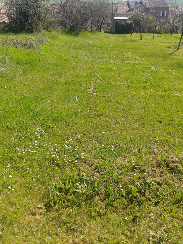 Terrain à SAINT-SULPICE-SUR-LEZE