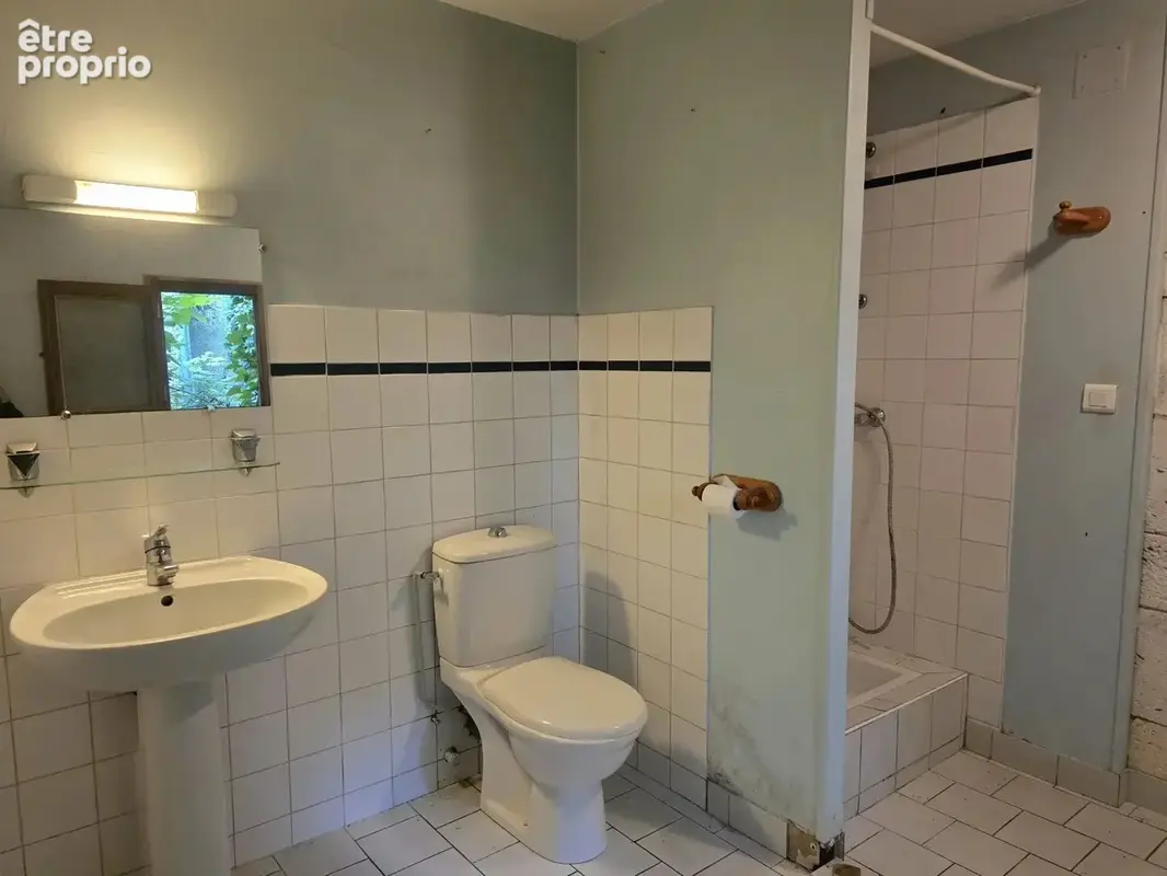 Maison 170 m² à Palluaud  - photo 4