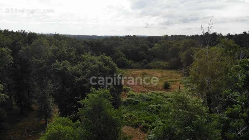 Maison à CASTELJALOUX