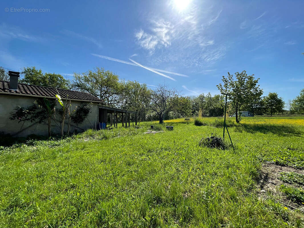 Maison à PENNE-D'AGENAIS