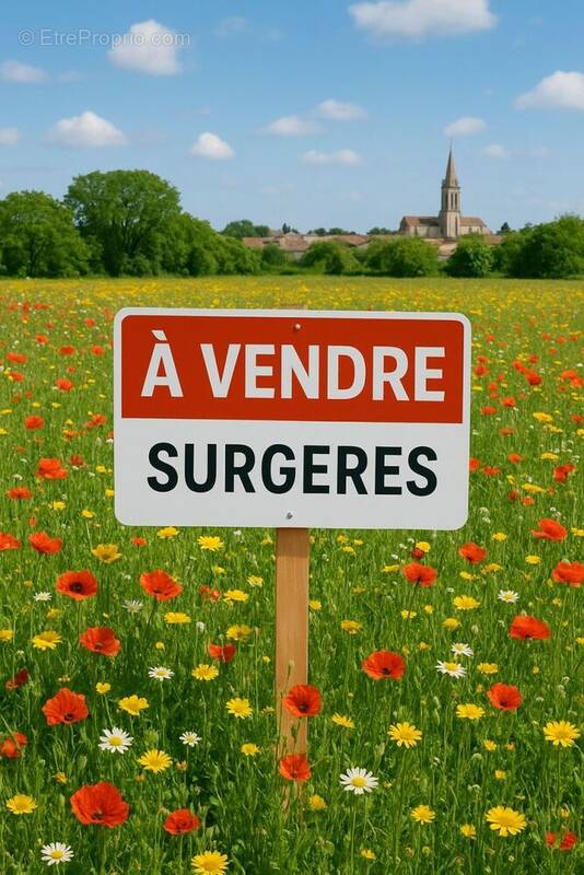 Terrain à SURGERES