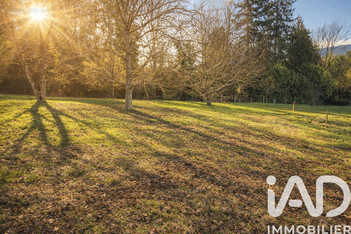 Photo 3 - Terrain à GENEUILLE