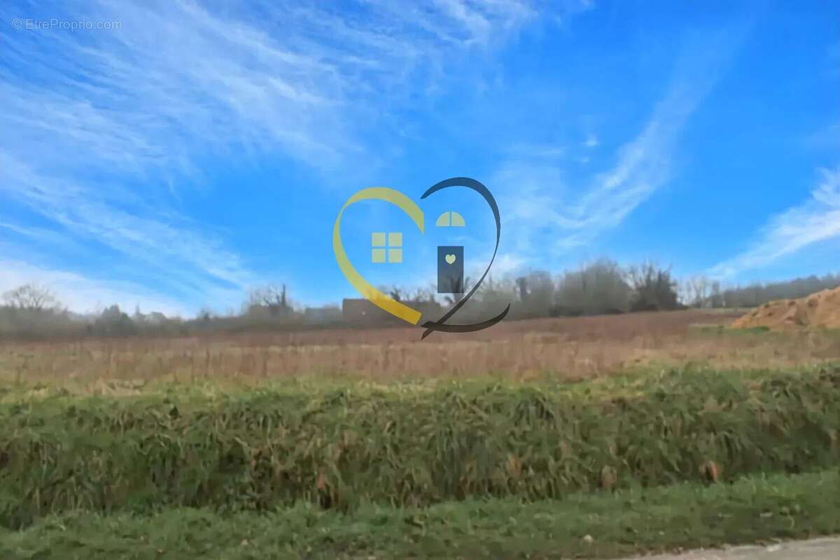 Terrain à CHISSEAUX