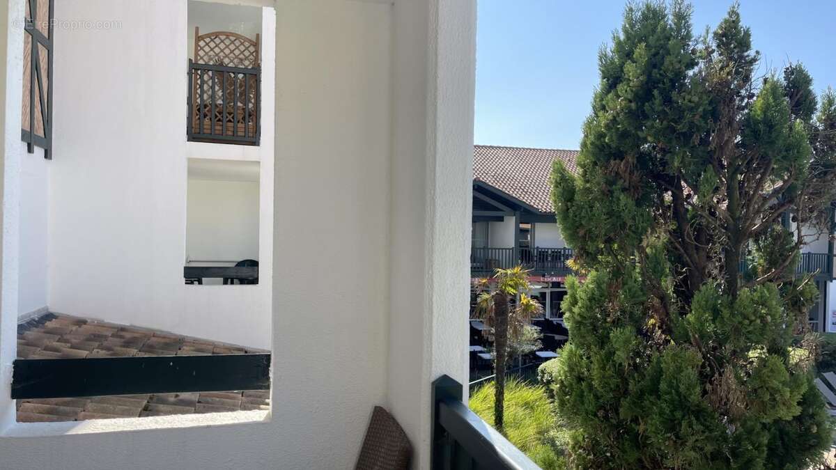 Appartement à MOLIETS-ET-MAA