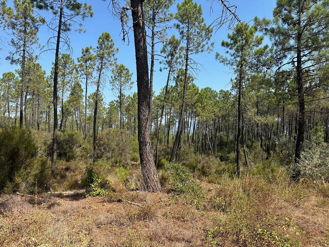 Terrain à TOURRETTES