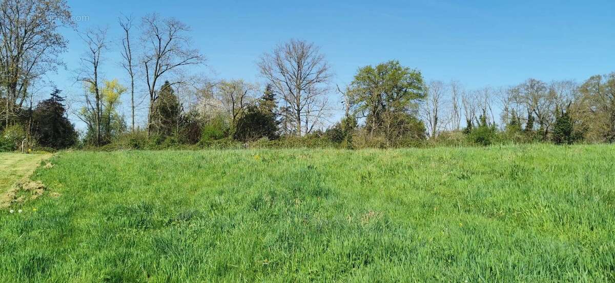 Terrain à VARENNES-SUR-ALLIER