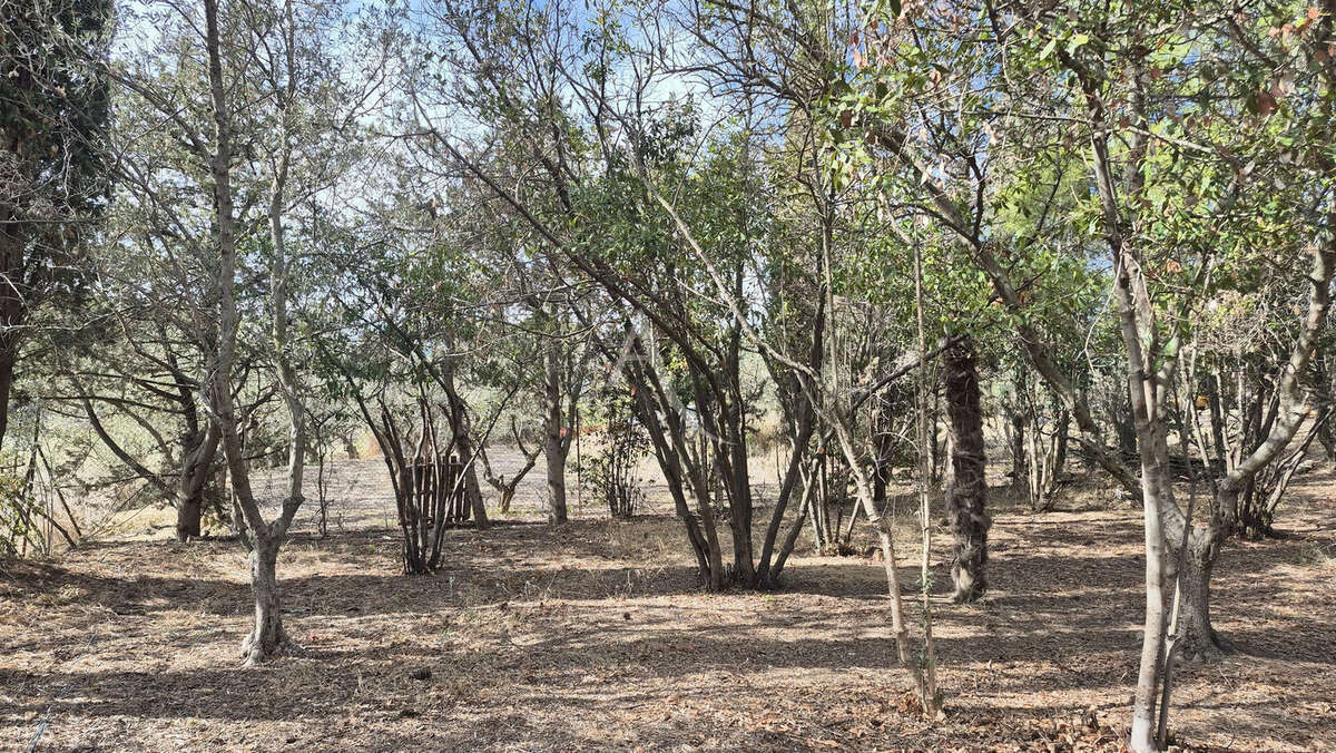 Terrain à OUVEILLAN