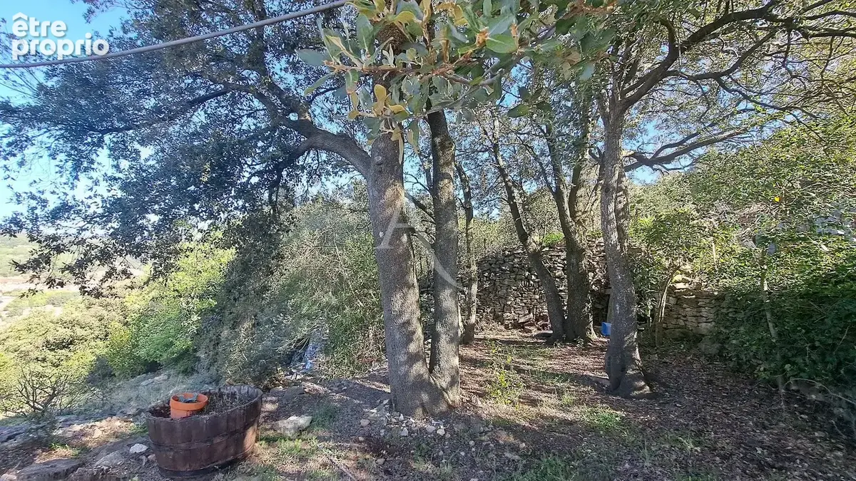 CAUSSE BEDARIEUX Maison avec vue dominante et terrain - photo 6
