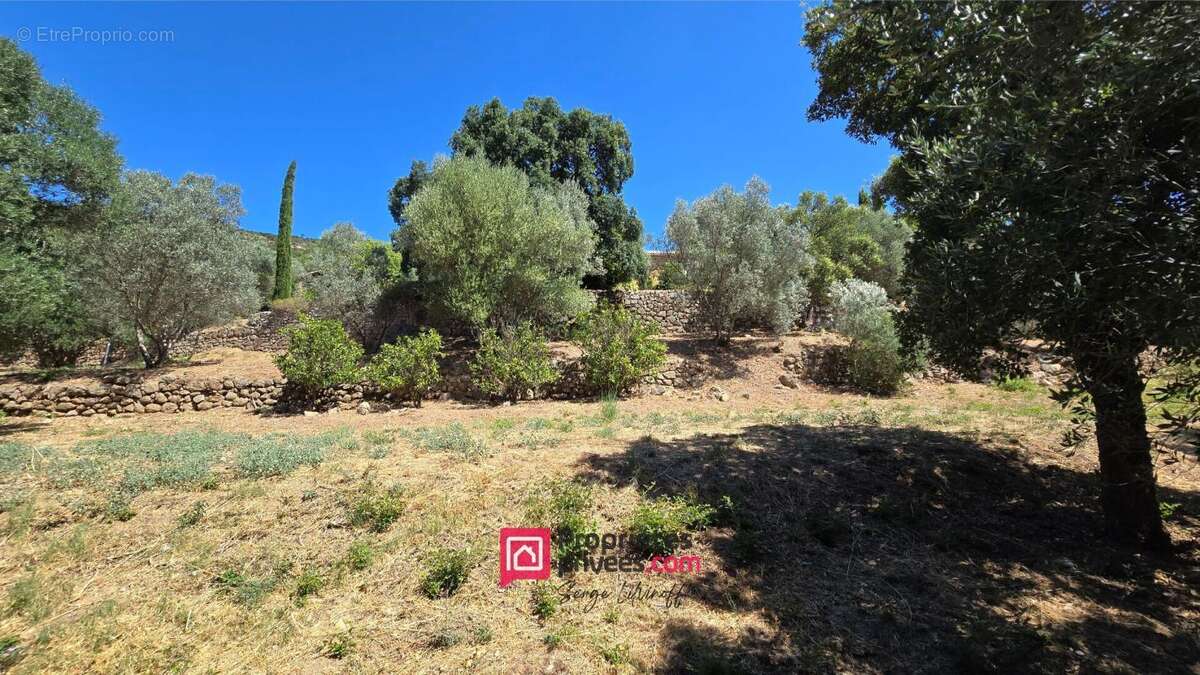 Maison à PLAN-DE-LA-TOUR