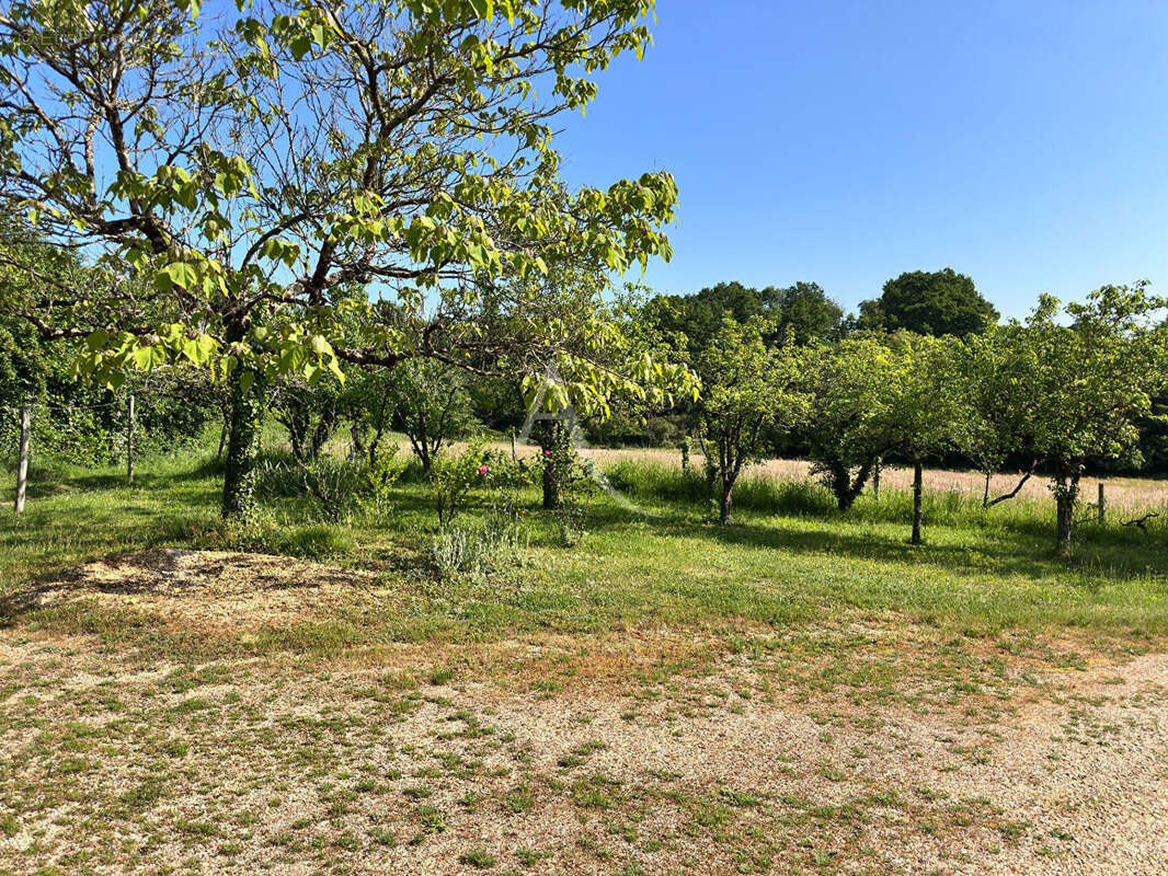 Pour les amoureux de la nature dans le village de Mouliherne - photo 15