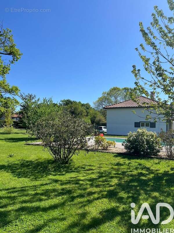 Maison 170 m² à Solferino  - photo 8