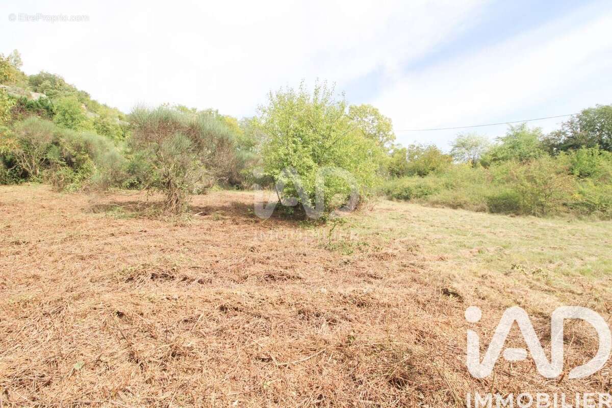 Photo 4 - Terrain à SAINT-AFFRIQUE