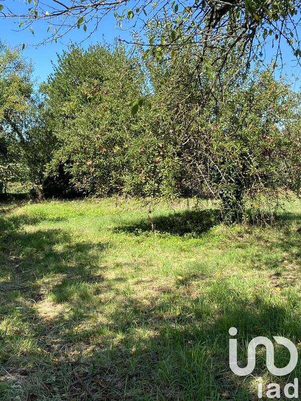 Photo 3 - Terrain à ZILLISHEIM