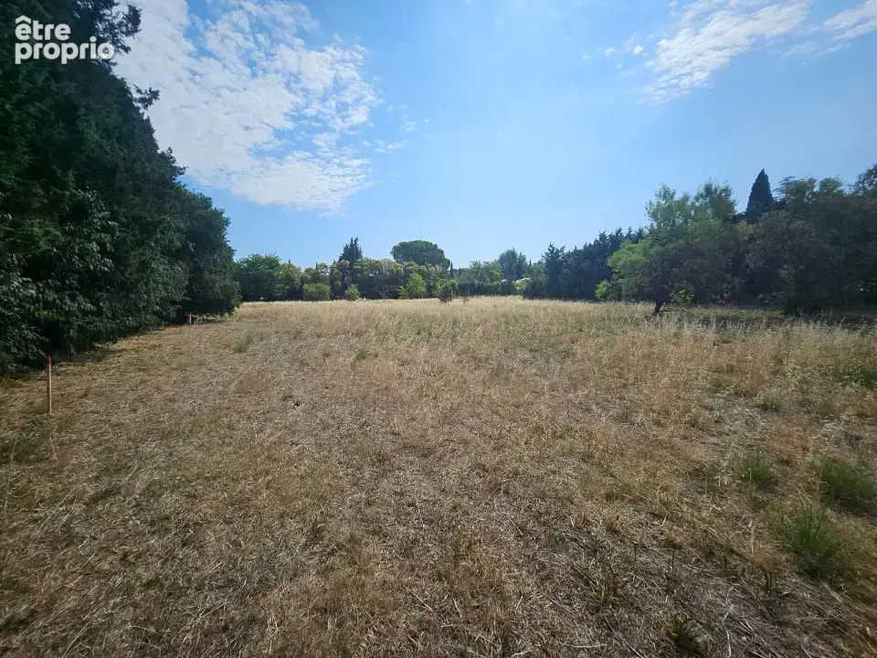 Terrain 780 m² à vendre à Fontvieille (13990) - photo 2
